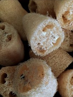 Luffa