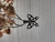 Collar Dije Mariposa en internet