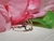Anillo Huella Calada - Mascota - comprar online