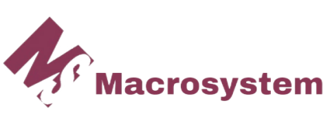 Macrosystem