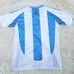 Camiseta Copa America Hincha - comprar online