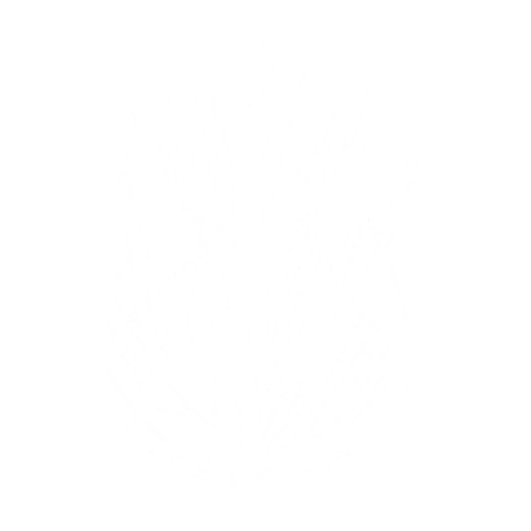 capineira