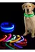 Collar Luminos Luz Led Perro Gato Mascota Colores Ajustable