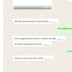 Karen Yuliana Palomino