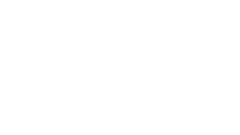 Bird Company