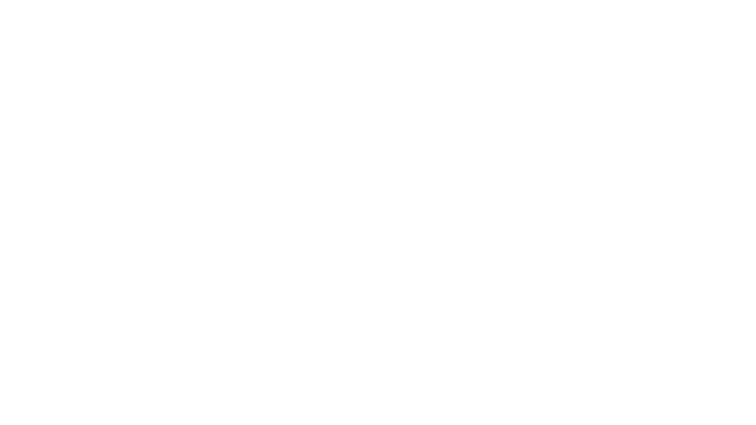 Bird Company