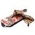 Estuche lentes. - tienda online