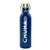 Botella Ginkgo chuna acero inox 700ML - comprar online