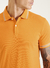 Polo Forum na internet