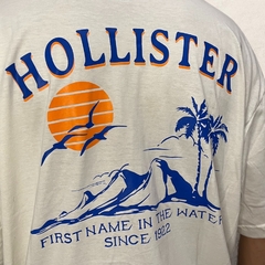 REMERA HOLLISTER en internet