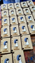 Biblias Souvenir - comprar online