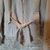 Blazer elegante - loja online