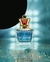 type Scandal Pour Homme 100ml