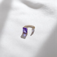 AN0383 / 2,4GR