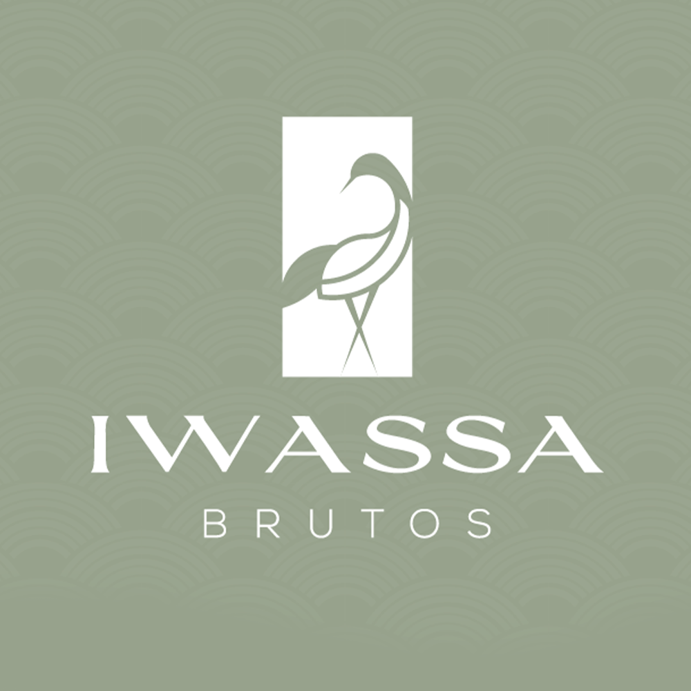 IWASSA BRUTOS