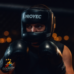 Cabeza box Blocker Pro Art. 588 Proyec - comprar online