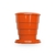13656 - loja online
