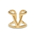 Anillo Val