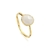 Anillo mar de maza