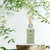 Difusor de Aromas 250ml Cravo e Canela Aromas - Green