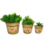 Imagem do Vaso de Parede Trio Cerâmica Decoração