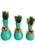 Trio de Garrafas cerâmica decorados com sementes Kit 3 peças - comprar online