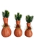 Imagem do Trio de Garrafas cerâmica decorados com sementes Kit 3 peças