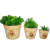 Vaso de Parede Trio Cerâmica Decoração