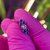 Cluster Azul Cacho na internet