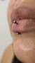Vertical Labret na internet