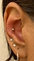 Conch