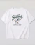Remeron snoop