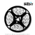 CINTA LED CON ADAPTADOR CEB 12V 5 METROS LUZ BLANCA