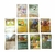 cartas pokemon importadas - caja x 36 sobres - 360 cartas - tienda online