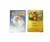 Imagen de cartas pokemon importadas - caja x 36 sobres - 360 cartas