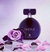 Dazzle 60ml - comprar online