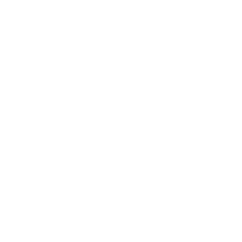ALL VICEN