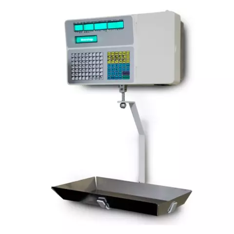 Bscula impresora BIE-30C Metrology