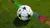 Bola de Futebol de Campo adidas UCL UEFA League - comprar online