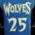 ROSE#25 Minnesota Timberwolves - FUT ALL