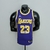 James #23 Los Angeles Lakers Jordan