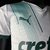 Palmeiras na internet