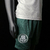 Palmeiras na internet