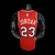 75° Aniversario Chicago Bulls JORDAN 23