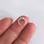 Argollita septum truw