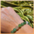 Pulseira Cristal Quartzo Verde - Cura e Equilibrio - 8mm - comprar online