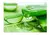 babosa /aloe vera 200gramas - loja online
