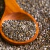 Semente de Chia (100g)