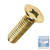 Parafuso Trilobular Chata Philips Bicromatizado - comprar online