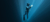 Carrusel DivenSwim